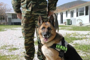 Με ένα συγκινητικό μήνυμα αποχαιρέτησε το ΓΕΣ την Άρτσι, μία σκυλίτσα της αστυνομίας εκπαιδευμένη στην ανίχνευση εκρηκτικών, που πέθανε από παθολογικά αίτια.