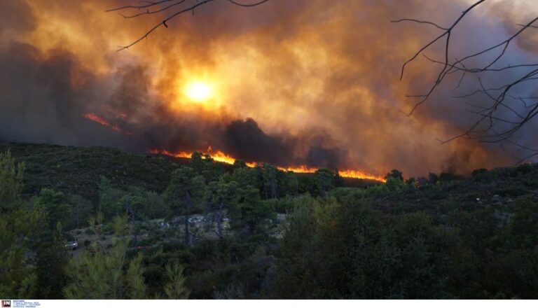 Φωτιά στην Αττική