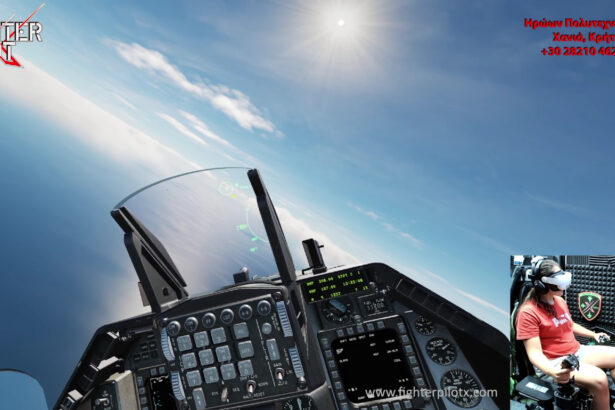 Fighter Pilot X